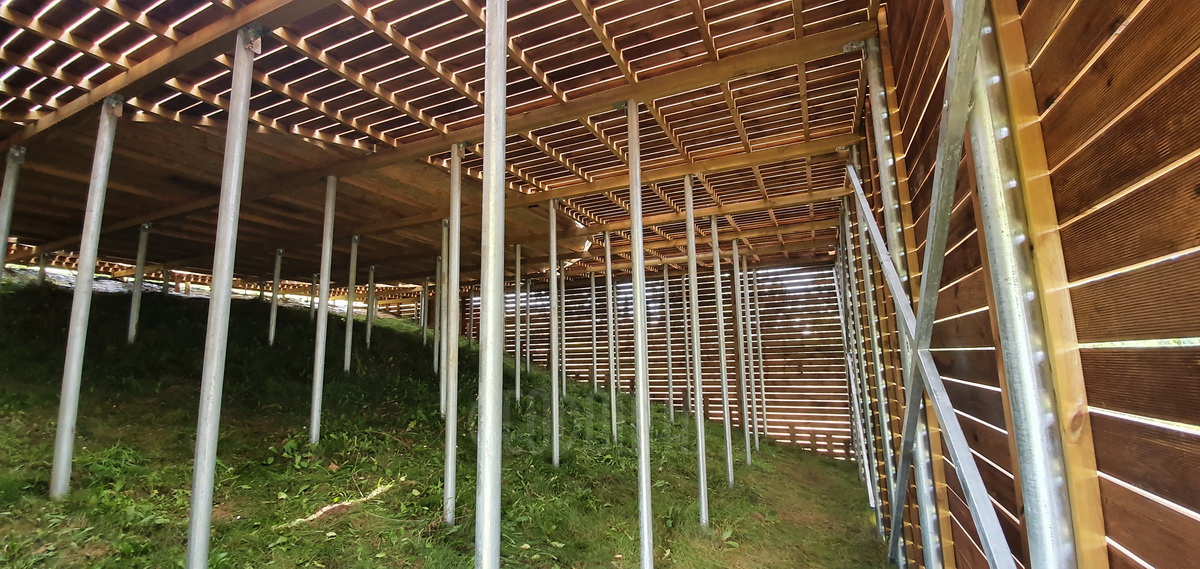 50m² ALOVE Glamping Kupolas Ø8m | Kaimo turizmas, Alovės ežeras