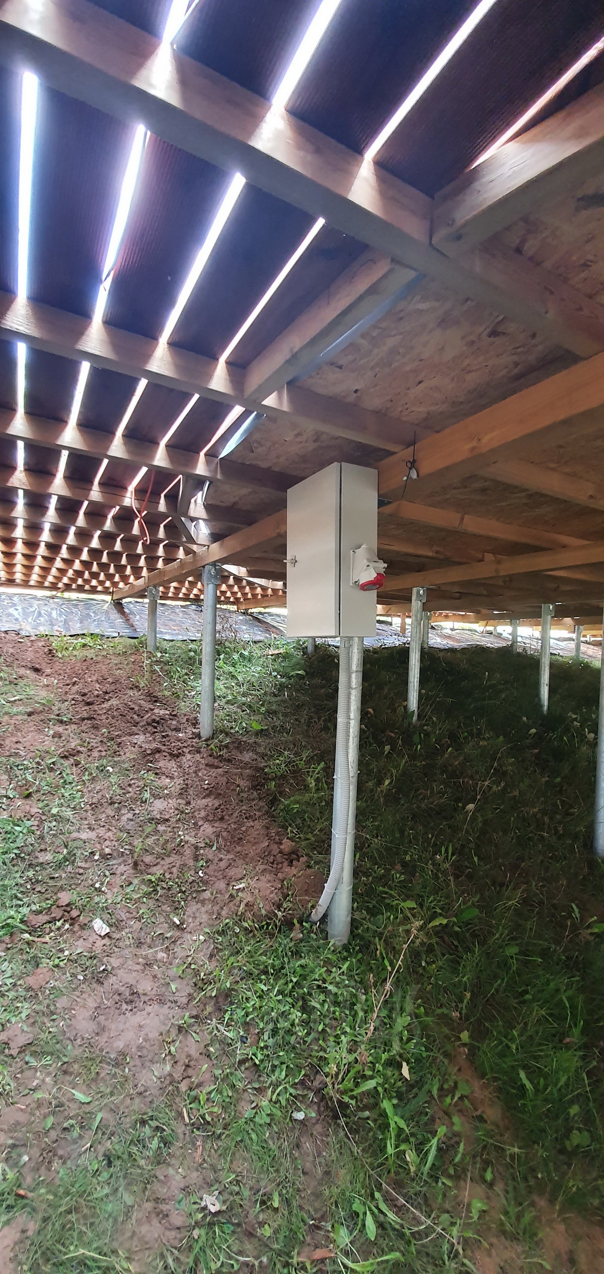 50m² ALOVE Glamping Kupolas Ø8m | Kaimo turizmas, Alovės ežeras