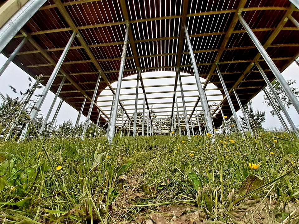 50m² ALOVE Glamping Kupolas Ø8m | Kaimo turizmas, Alovės ežeras